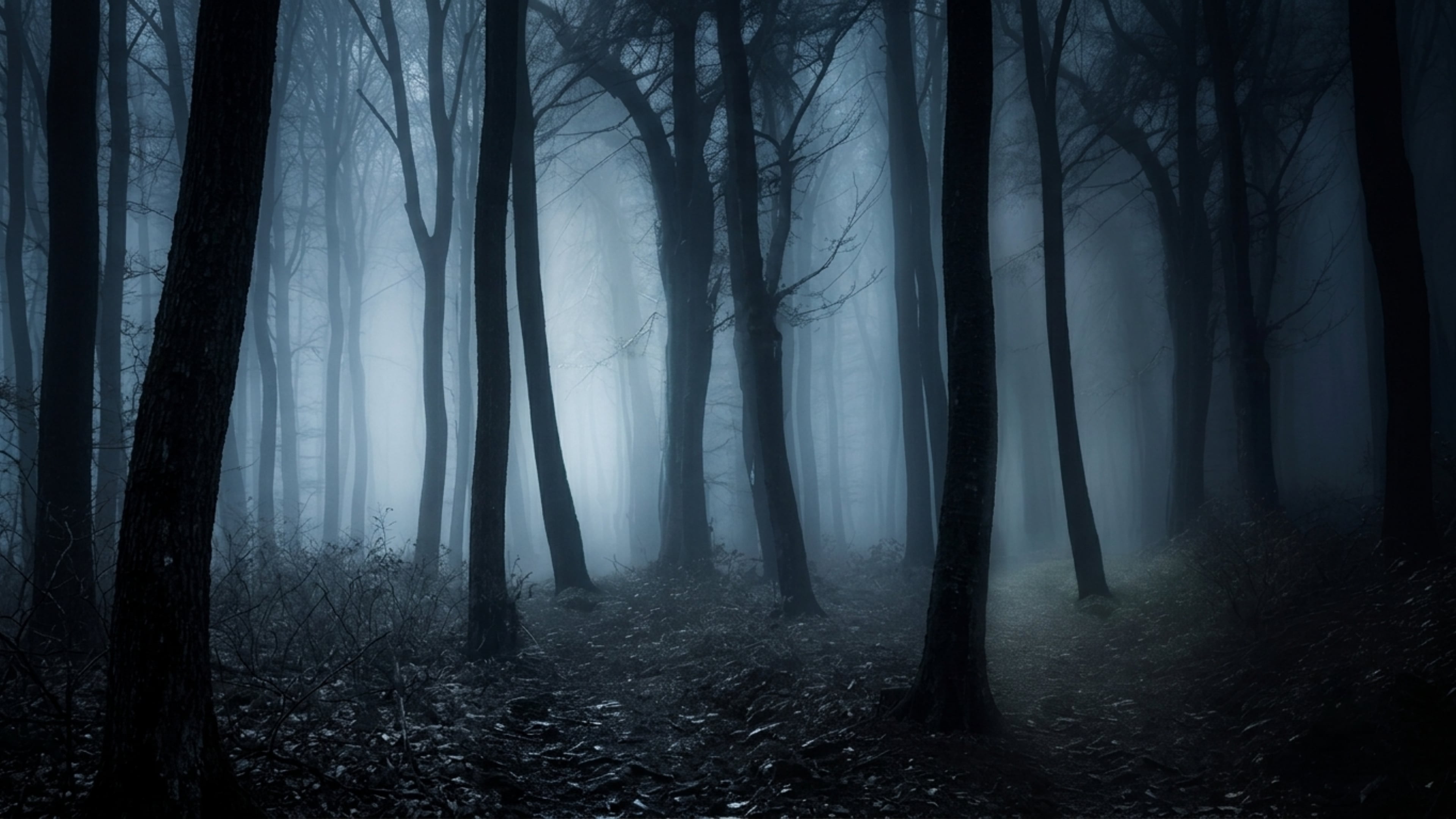 immagine in evidenza del libro i 98 alberi
